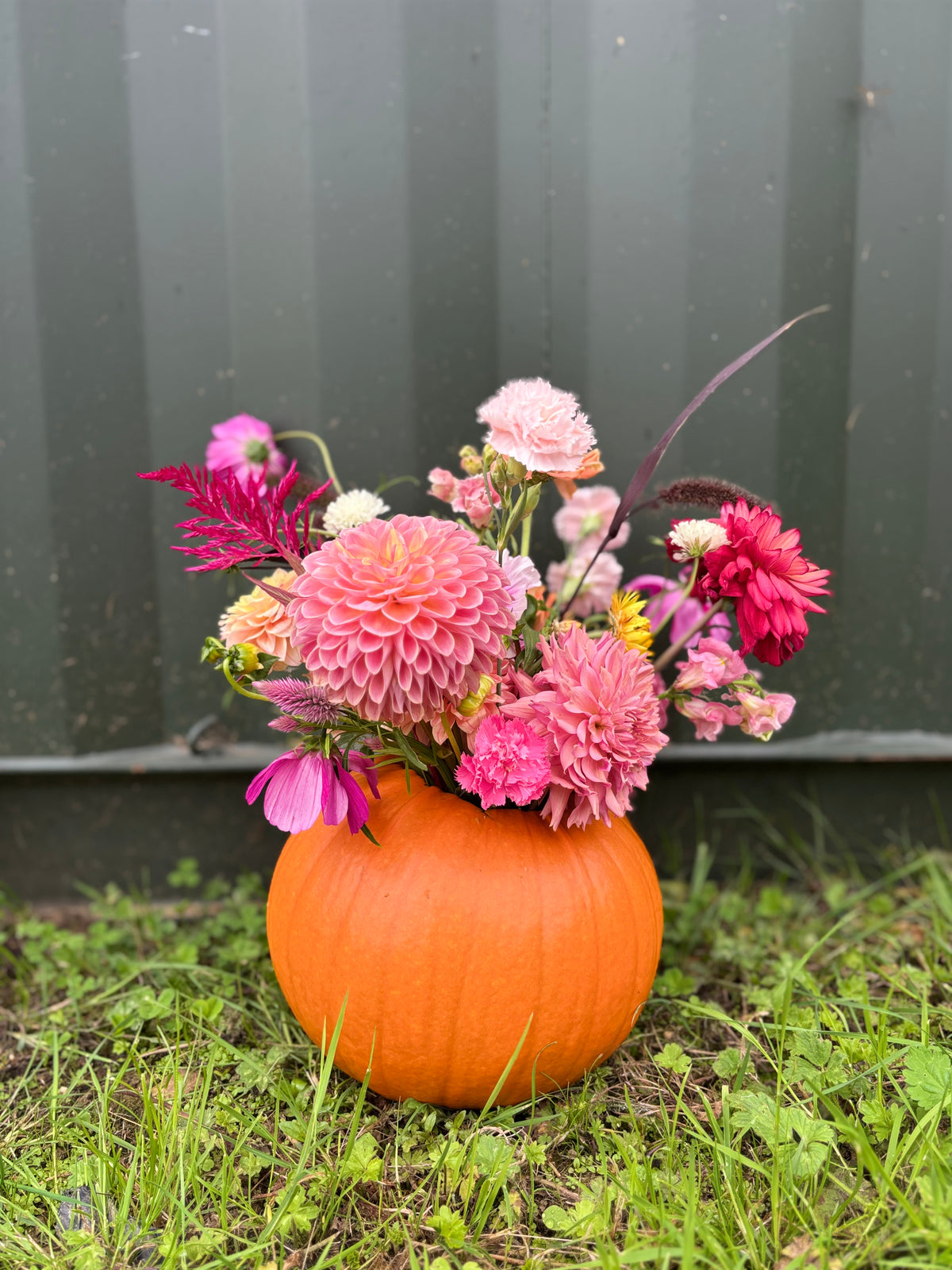 An Autumn Evening: Pumpkins, Petals and Prosecco. 17th October 6-8pm